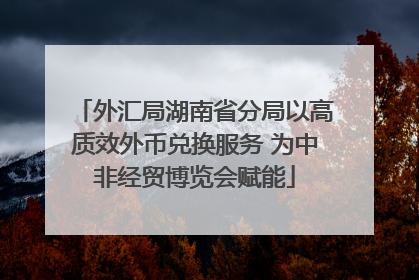 外汇局湖南省分局以高质效外币兑换服务 为中非经贸博览会赋能