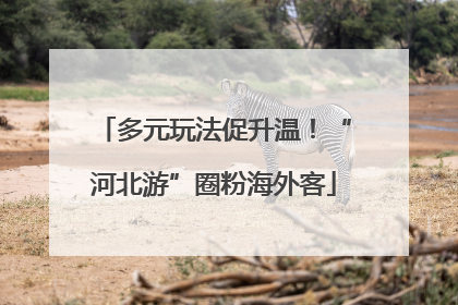 多元玩法促升温！“河北游”圈粉海外客
