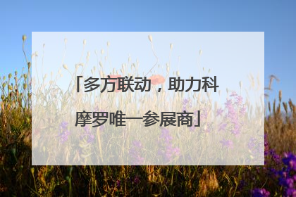 多方联动，助力科摩罗唯一参展商
