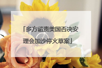 多方谴责美国否决安理会加沙停火草案