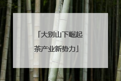 大别山下崛起茶产业新势力