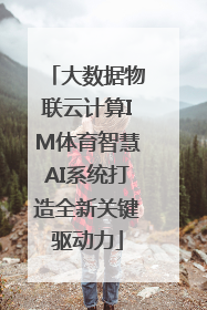 大数据物联云计算IM体育智慧AI系统打造全新关键驱动力