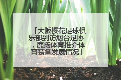大阪樱花足球俱乐部到访烟台足协，鹿扬体育推介体育装备发展情况