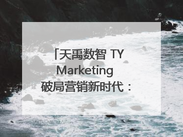 天禹数智 TY Marketing 破局营销新时代：智能体赋能与人才培育双轮驱动
