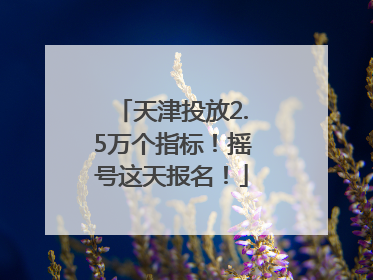 天津投放2.5万个指标！摇号这天报名！