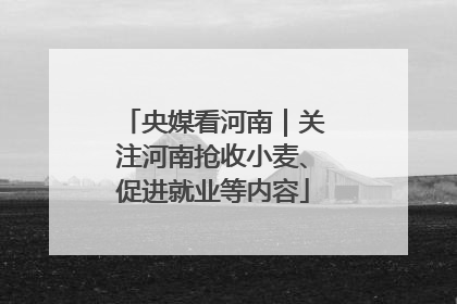 央媒看河南｜关注河南抢收小麦、促进就业等内容