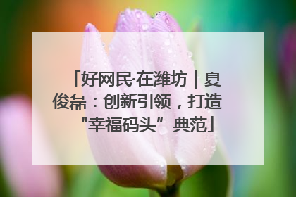 好网民·在潍坊｜夏俊磊：创新引领，打造“幸福码头”典范