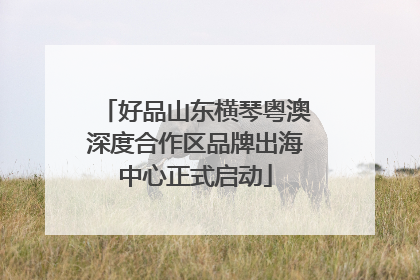 好品山东横琴粤澳深度合作区品牌出海中心正式启动