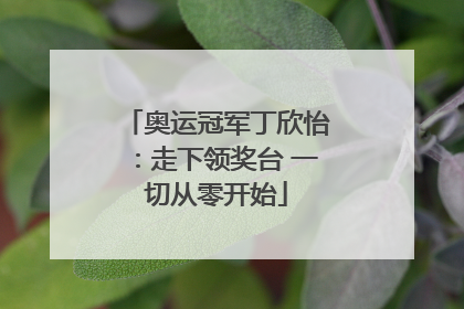 奥运冠军丁欣怡：走下领奖台 一切从零开始