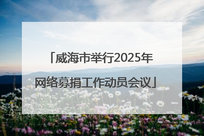 威海市举行2025年网络募捐工作动员会议