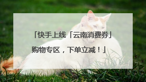 快手上线「云南消费券」购物专区，下单立减！