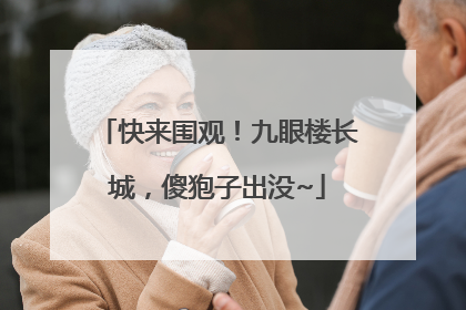 快来围观！九眼楼长城，傻狍子出没~