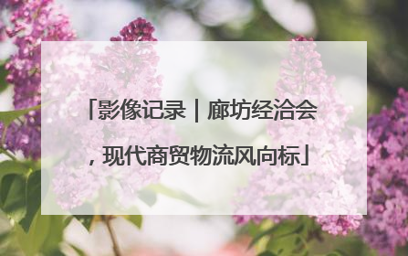 影像记录｜廊坊经洽会，现代商贸物流风向标