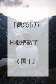 德兴市万村枇杷熟了（图）
