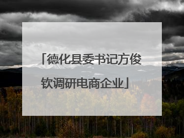 德化县委书记方俊钦调研电商企业