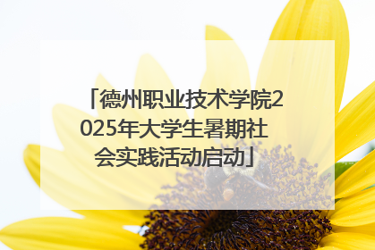 德州职业技术学院2025年大学生暑期社会实践活动启动
