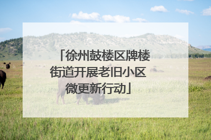 徐州鼓楼区牌楼街道开展老旧小区微更新行动