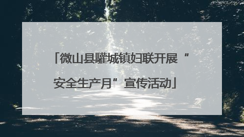 微山县驩城镇妇联开展“安全生产月”宣传活动