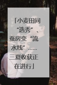 小麦田间“选秀”、蚕房变“流水线”……三夏收获正在进行