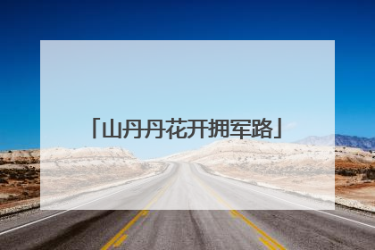 山丹丹花开拥军路