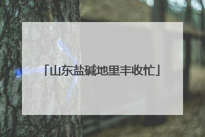 山东盐碱地里丰收忙