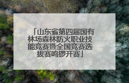 山东省第四届国有林场森林防火职业技能竞赛暨全国竞赛选拔赛鸣锣开赛