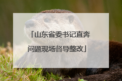 山东省委书记直奔问题现场督导整改