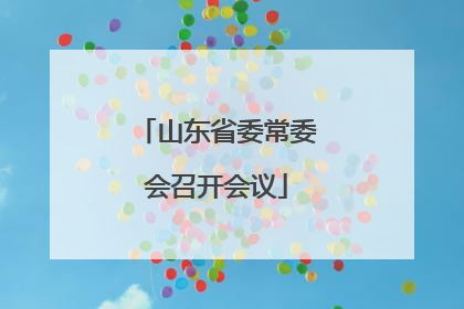 山东省委常委会召开会议