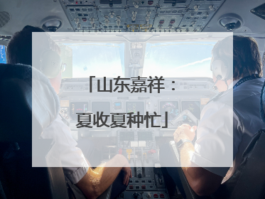 山东嘉祥：夏收夏种忙