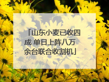 山东小麦已收四成 单日上阵八万余台联合收割机