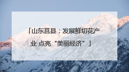 山东莒县：发展鲜切花产业 点亮“美丽经济”