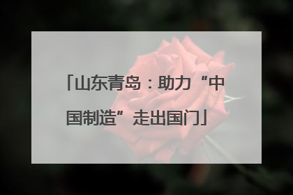 山东青岛：助力“中国制造”走出国门