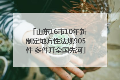 山东16市10年新制定地方性法规905件 多件开全国先河