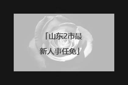 山东2市最新人事任免
