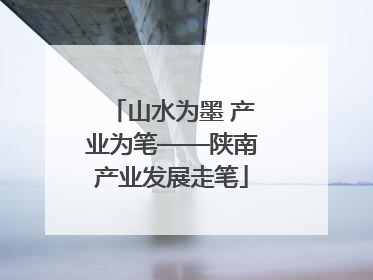 山水为墨 产业为笔——陕南产业发展走笔