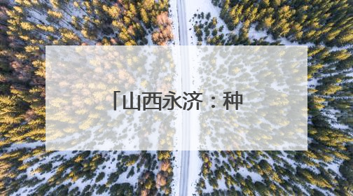 山西永济：种粮大户收获忙