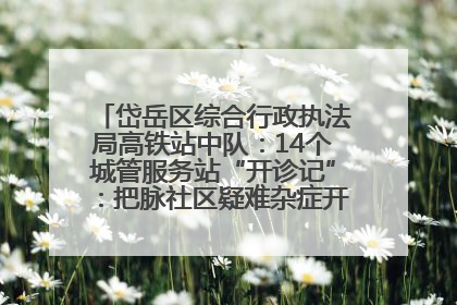 岱岳区综合行政执法局高铁站中队：14个城管服务站“开诊记”：把脉社区疑难杂症开出治理良方