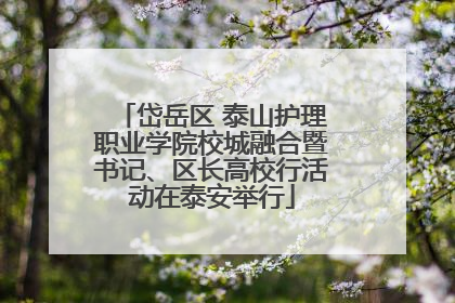 岱岳区 泰山护理职业学院校城融合暨书记、区长高校行活动在泰安举行