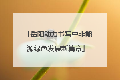 岳阳助力书写中非能源绿色发展新篇章