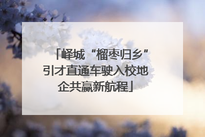 峄城“榴枣归乡”引才直通车驶入校地企共赢新航程