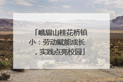 峨眉山桂花桥镇小：劳动赋能成长，实践点亮校园