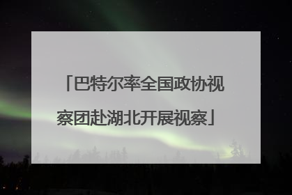 巴特尔率全国政协视察团赴湖北开展视察