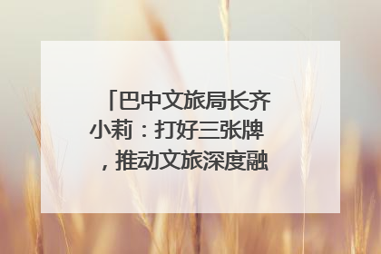 巴中文旅局长齐小莉：打好三张牌，推动文旅深度融合｜文旅局长说