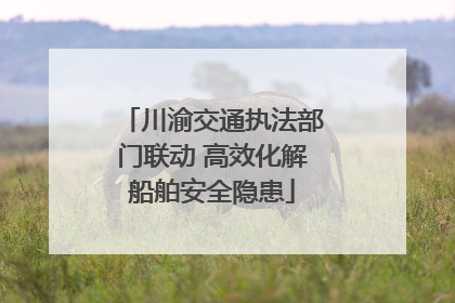 川渝交通执法部门联动 高效化解船舶安全隐患