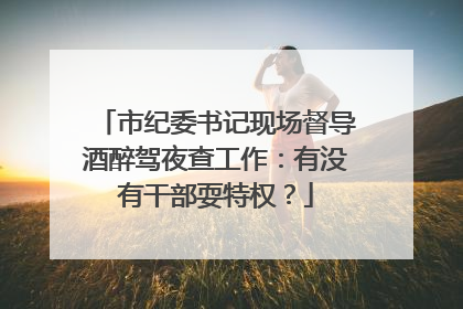 市纪委书记现场督导酒醉驾夜查工作：有没有干部耍特权？
