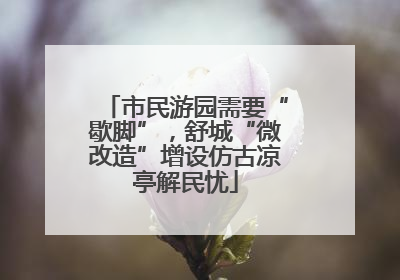 市民游园需要“歇脚”，舒城“微改造”增设仿古凉亭解民忧