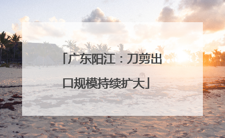 广东阳江：刀剪出口规模持续扩大