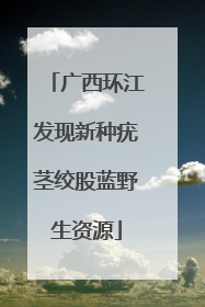 广西环江发现新种疣茎绞股蓝野生资源