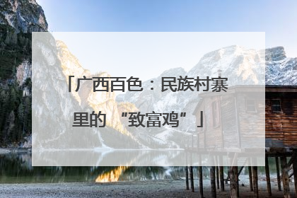 广西百色：民族村寨里的 “致富鸡”