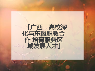 广西一高校深化与东盟职教合作 培育服务区域发展人才